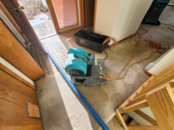 Best Residential water damage restoration  in Maple Glen, PA