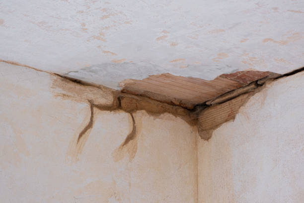 Best Emergency water damage restoration  in Maple Glen, PA